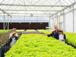 Mark Balch- Agricultural Education