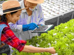 Food Security