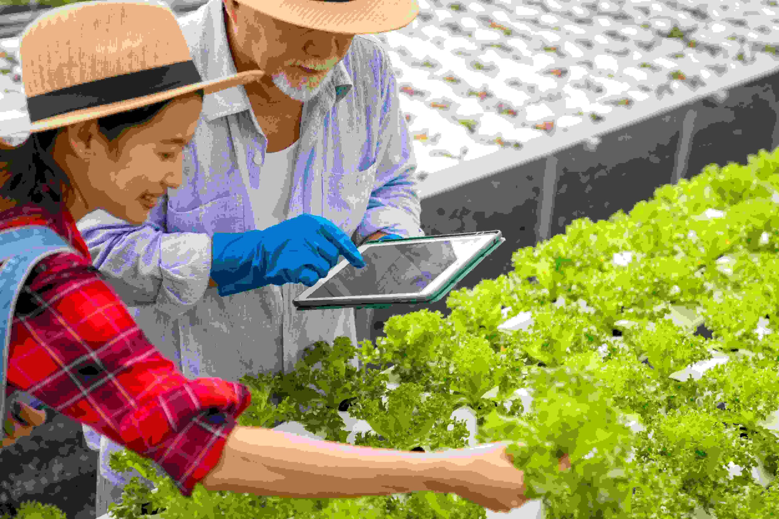 Food Security