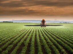 Mark Balch-Modern Farming
